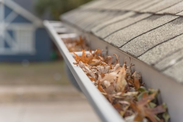Leaf Barrier Installation in Pleasanton
