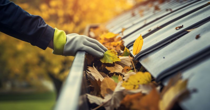 Gutter Covers in Action During Fall